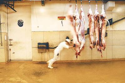 Tabaré Vázquez presionó y los frigoríficos bajan 5% el precio de la carne desde hoy
