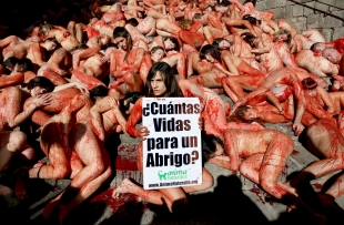 Protesta contra la gran matanza de animales para confeccionar prendas de piel