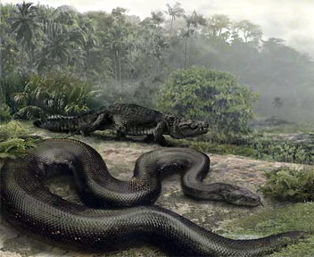 Hallan en Colombia fósil de serpiente de 60 millones de años, más grande que un ómnibus