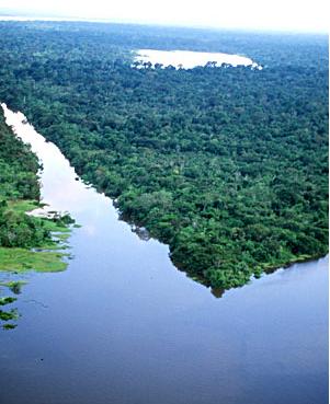 Brasil: un avión con 20 pasajeros cayó en un río del Amazonas
