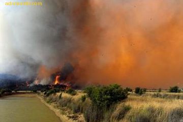 Infierno en la tierra: aumentan a 84 los muertos por devastadores incendios en Australia