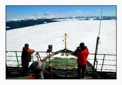 Preocupa el "boom" de cruceros que navegan por la Antártida