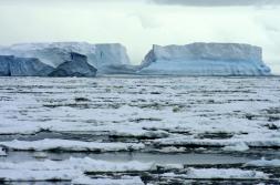 Un gigantesco bloque de hielo más grande que Hawai se desprendió en la Antártida