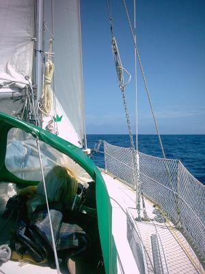 A 800 millas de Canarias, apresan a cinco tripulantes de un barco con 5 mil kilos de cocaína