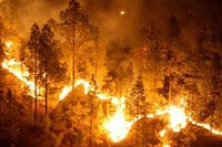 En sólo dos meses 350 incendios forestales estallaron en México