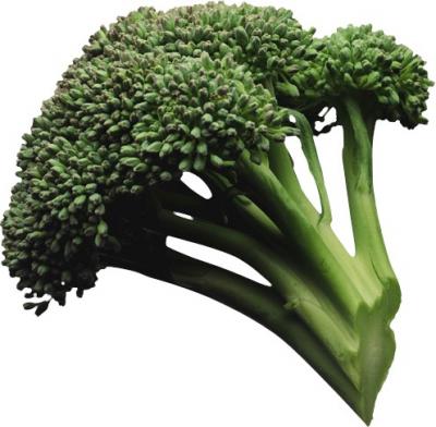 Los científicos recomiendan comer brócoli a personas con asma o alergias nasales