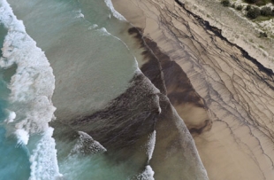 Enorme mancha negra alcanzan las playas del noreste de Australia
