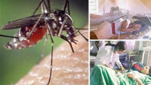 Se desató una epidemia de dengue que arrasa el Chaco argentino