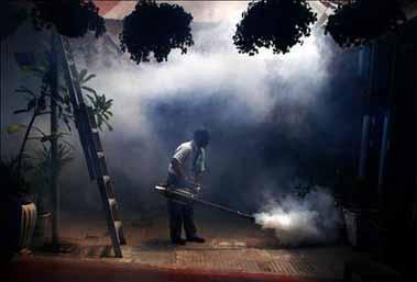 El dengue se expande en Argentina: 57 casos confirmados en Buenos Aires