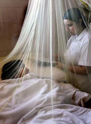 Uruguay, cercado, se blinda para evitar ingreso de epidemia de dengue