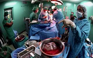¡Que viva!...España bate el récord de órganos trasplantados en un solo día