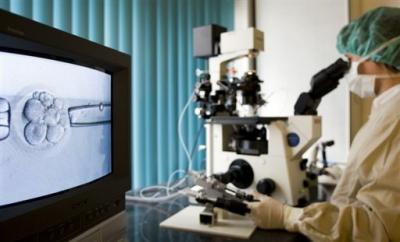 España autoriza la selección de embriones para evitar el cáncer
