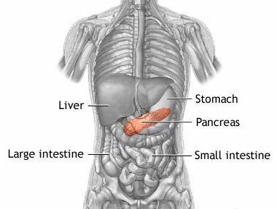 Comer carne muy cocida estaría vinculado al cáncer de páncreas