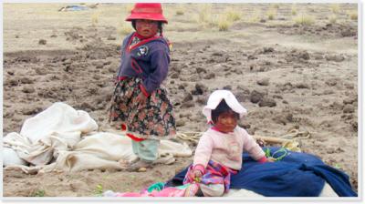 La pobreza en Perú se podría disminuir hasta 31% en el 2011, según Corporación Andina de Fomento