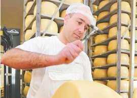 Físicos uruguayos: una investigación que va por el queso y puede llegar al corazón