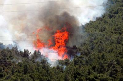 Incendio forestal obliga a evacuar 1.200 casas en California
