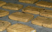Decomisan 600 kilos de cocaína en un aeropuerto mexicano procedentes de Colombia