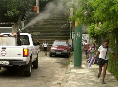 Cada día se registran 2.000 nuevos casos de dengue en Brasil