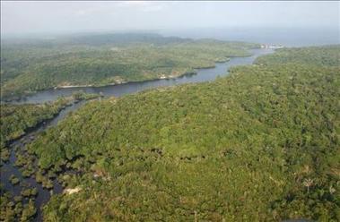 Brasil regulariza tierras y da subsidios para parar deforestación de la Amazonía