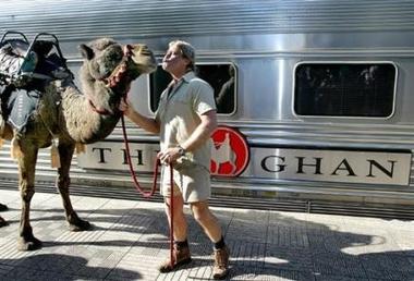 Francia: chocaron un tren y un.. camello
