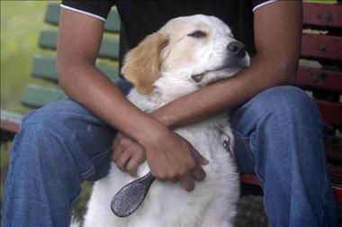 Una familia de EE.UU. ofrece una recompensa de 5.000 dólares por su perro extraviado