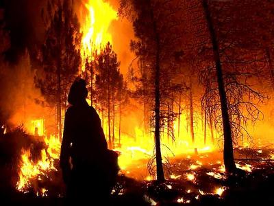 Canadá: Más 17.000 evacuados por los incendios forestales