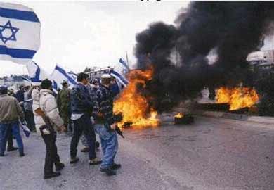 Colonos judíos atacan de nuevo a palestinos y arrancan sus olivos