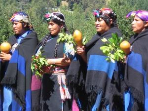 Los mapuches y las contradicciones del Chile de hoy