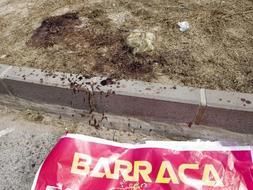 Valencia: una joven murió apuñalada por una mujer cerca de una discoteca