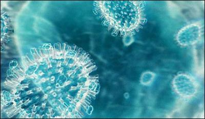 La BBC explica porqué sigue usando el término gripe porcina para referirse a la pandemia