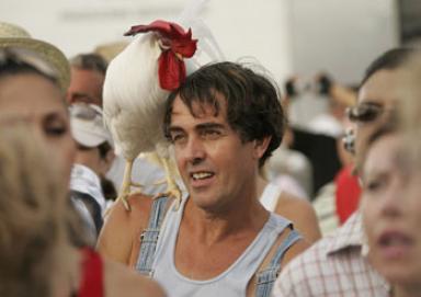 El gallo Mr.Clucky, verdadero icono de Miami Beach, amenazado con ser desalojado