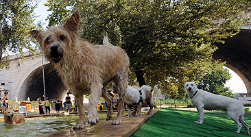Inauguran en Roma una playa de dos hectáreas sólo para perros