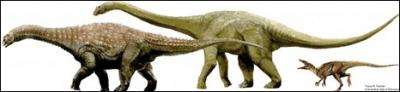 Hallan gigantesco dinosaurio en Australia