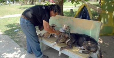 La historia de un colombiano que por amor a sus perros se fue a vivir con ellos en un parque