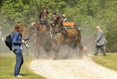 Los reyes belgas festejan unas Bodas de Oro empañadas por el accidente de un coche de caballos