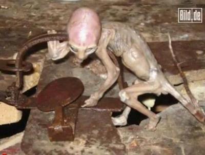 Publican las fotos de un supuesto bebé extraterrestre encontrado en México