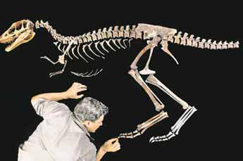 Hallan al ancestro del Tiranosaurio rex: era igual pero en miniatura