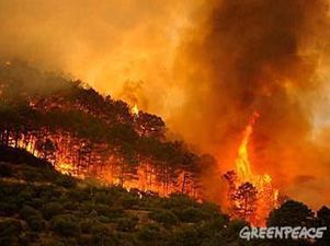 Greenpeace simula un incendio en La Moncloa