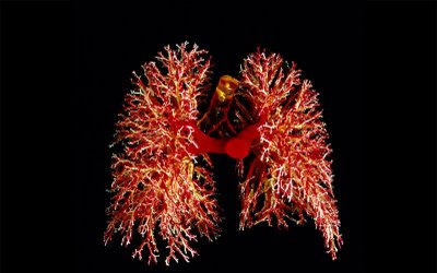 En Canadá reparan pulmones para transplante