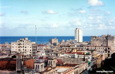 El 75% de los cubanos está a favor de una transformación política, según encuesta de EEUU
