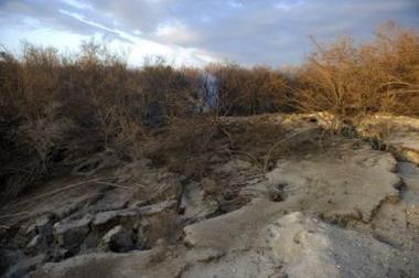 La tierra lanza señales de humo en La Mancha y señala un desastre ecológico
