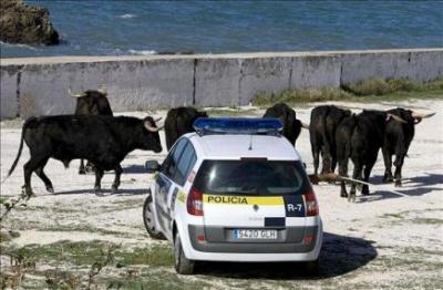 Cádiz: "fuga" de 7 toros suspendió el rodaje de la película de Tom Cruise