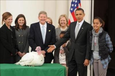 Obama "salva la vida" de dos pavos que iban a ser cocinados para la cena de Acción de Gracias