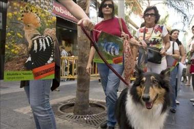 Cadena humana protesta contra "especuladores que quieren matar el paisaje" en Canarias