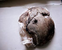 Pedazo de 'cráneo de Hitler' conservado en Moscú es auténtico, aseguran los rusos