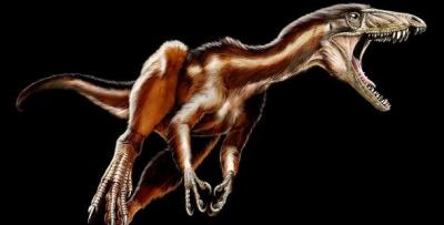 Dinosaurios carnívoros surgieron en América del Sur, según estudio de la revista Science