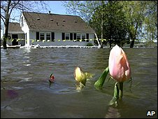 Cómo evitar las inundaciones