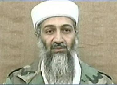 Osaba bin Laden ambientalista