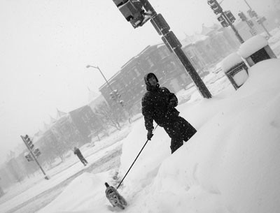 Nunca se vió: Baltimore, Filadelfia y Washington tapadas por 2 metros de nieve