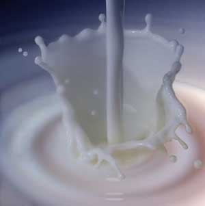 Técnicos argentinos crean una "súper leche" que previene enfermedades
